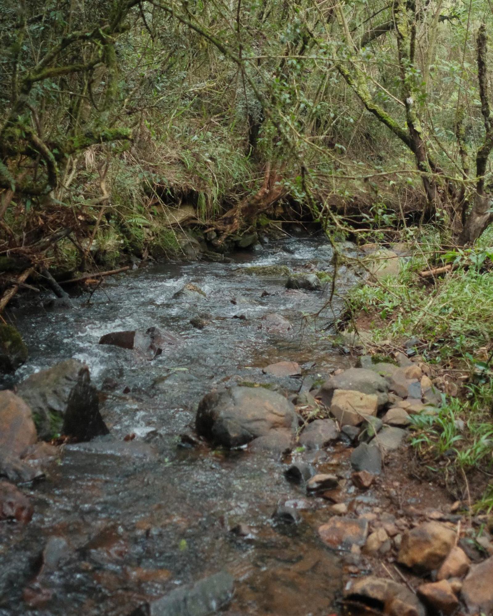 Parque Nacional Ecoresort ウルビシ エクステリア 写真