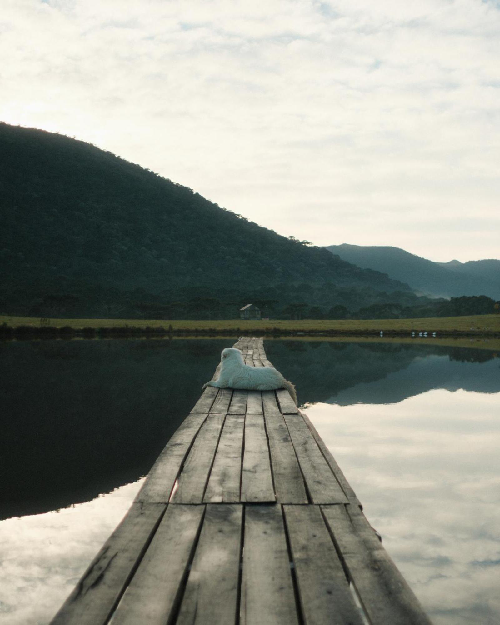 Parque Nacional Ecoresort ウルビシ エクステリア 写真