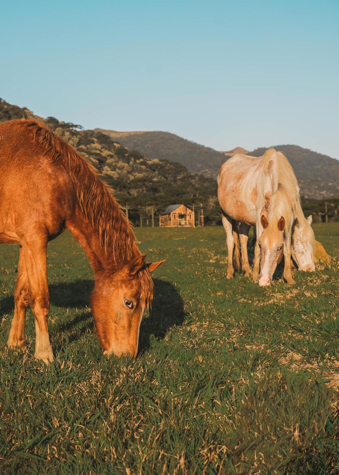 Parque Nacional Ecoresort ウルビシ エクステリア 写真